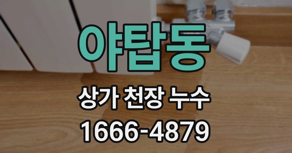 야탑동 상가 천장 누수