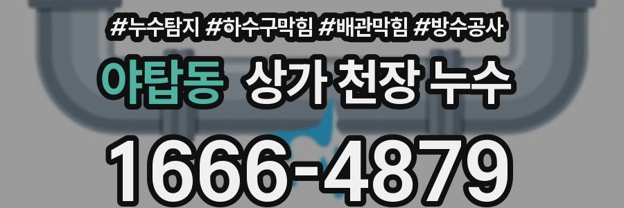 야탑동 상가 천장 누수