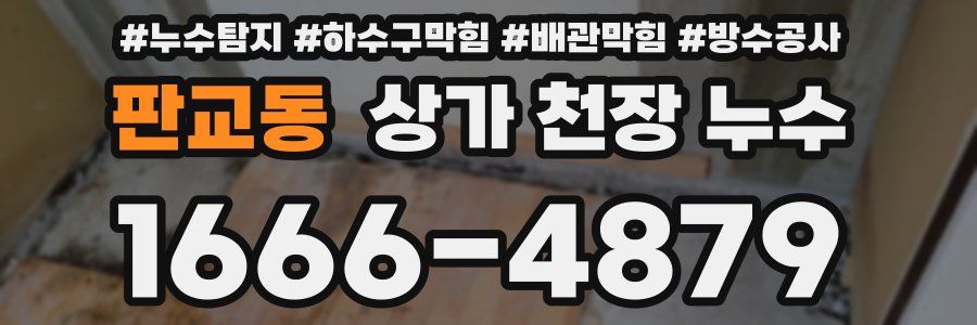 판교동 상가 천장 누수