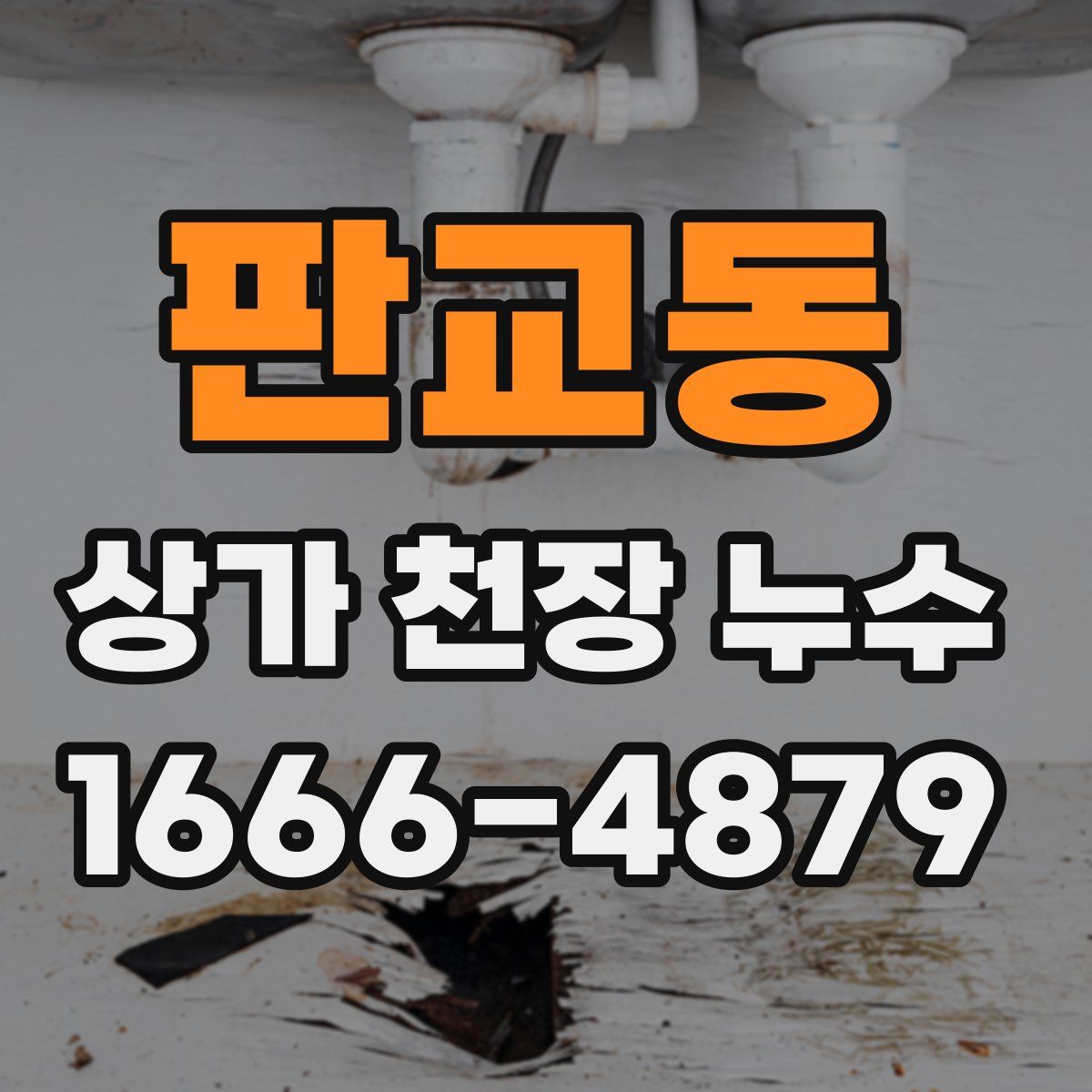 판교동 상가 천장 누수
