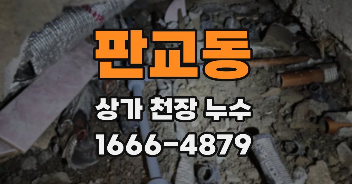 판교동 상가 천장 누수
