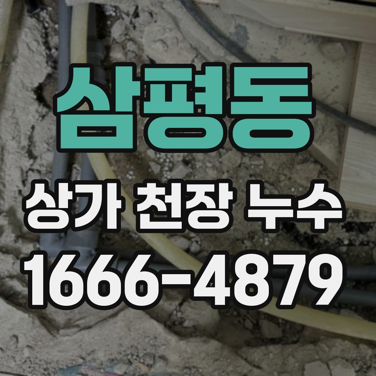 삼평동 상가 천장 누수
