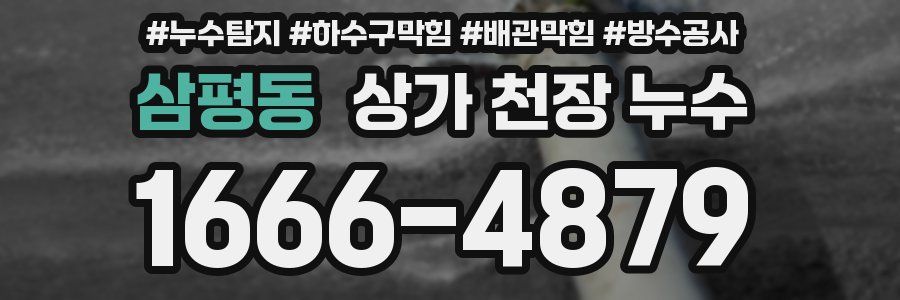 삼평동 상가 천장 누수