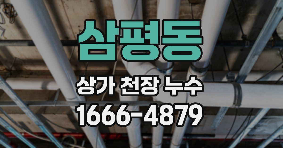삼평동 상가 천장 누수