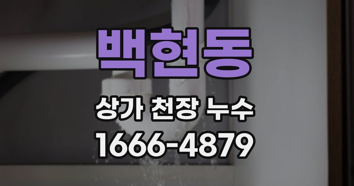 백현동 상가 천장 누수