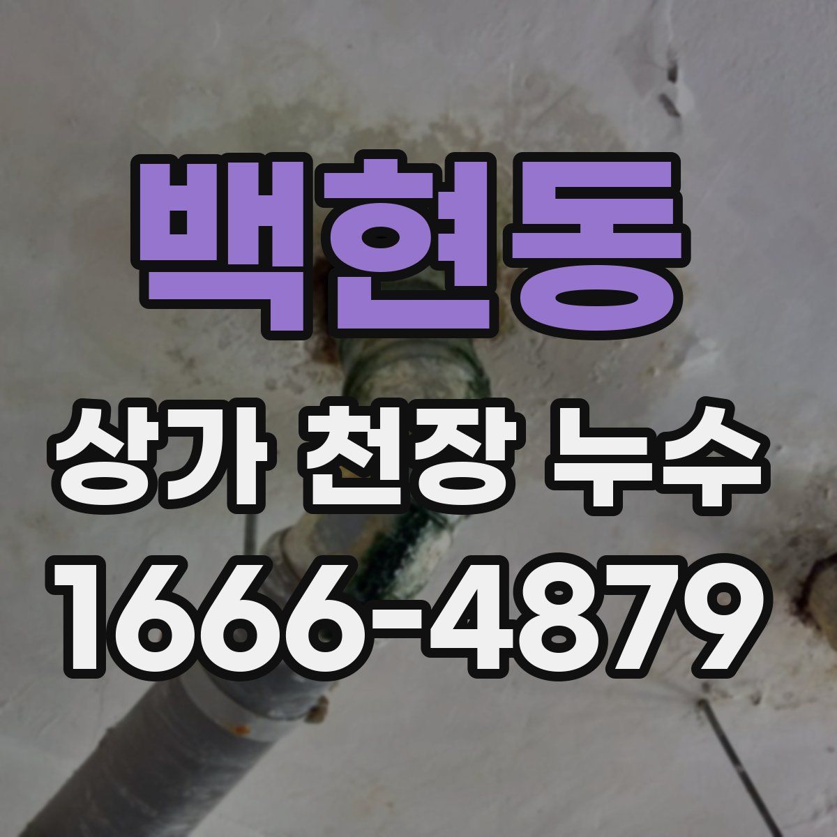 백현동 상가 천장 누수