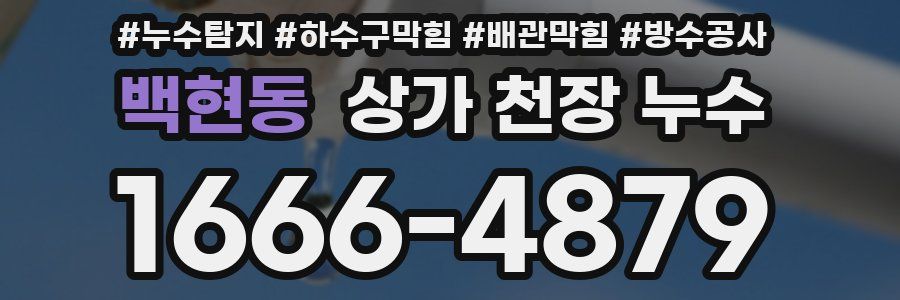 백현동 상가 천장 누수