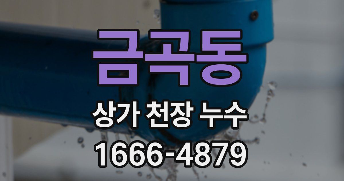 금곡동 상가 천장 누수