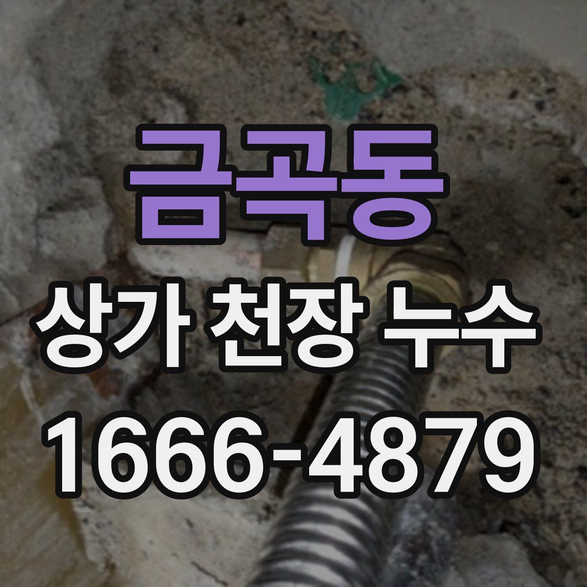 금곡동 상가 천장 누수