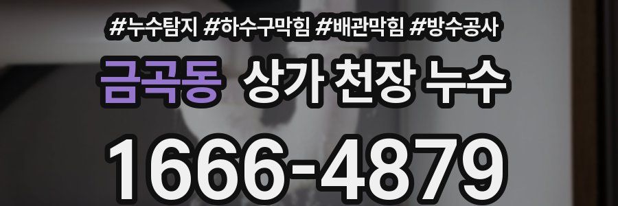 금곡동 상가 천장 누수