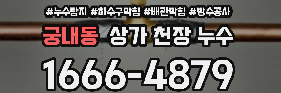 궁내동 상가 천장 누수