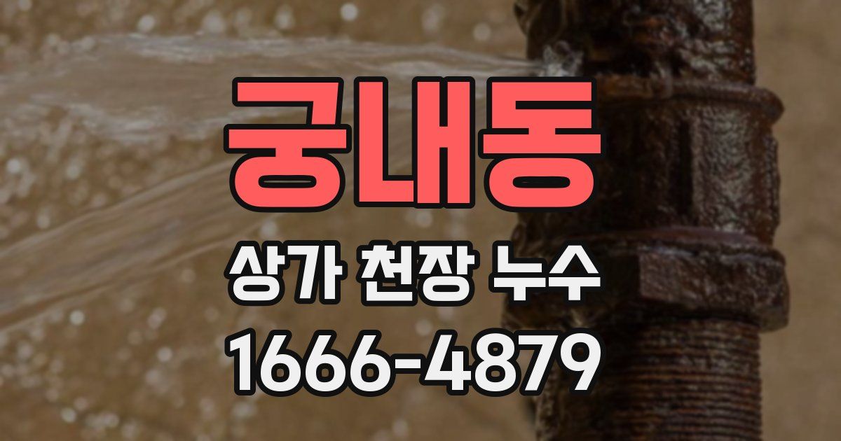 궁내동 상가 천장 누수