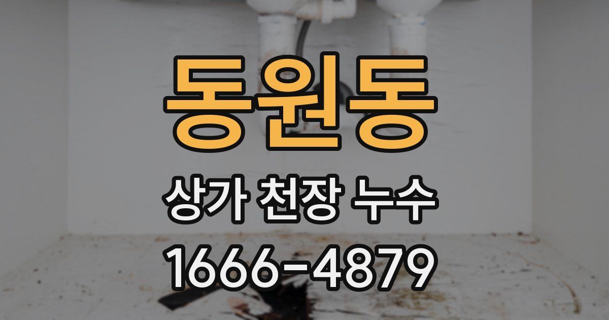동원동 상가 천장 누수