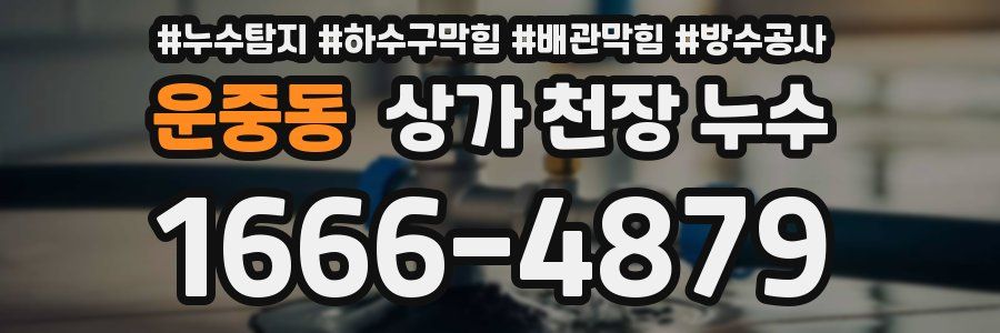 운중동 상가 천장 누수