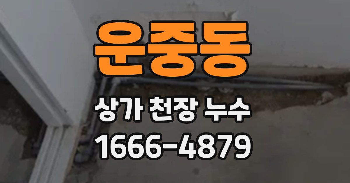 운중동 상가 천장 누수