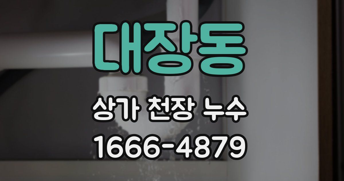 대장동 상가 천장 누수