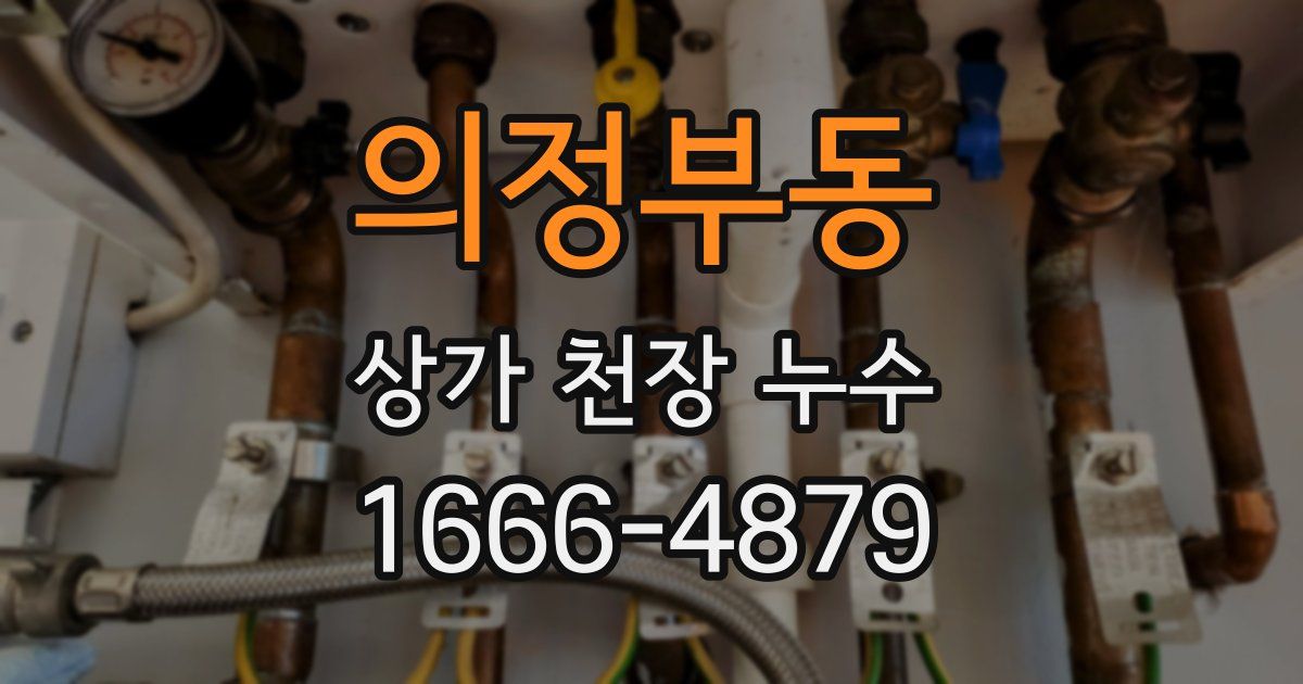 의정부동 상가 천장 누수
