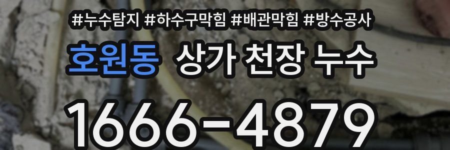 호원동 상가 천장 누수