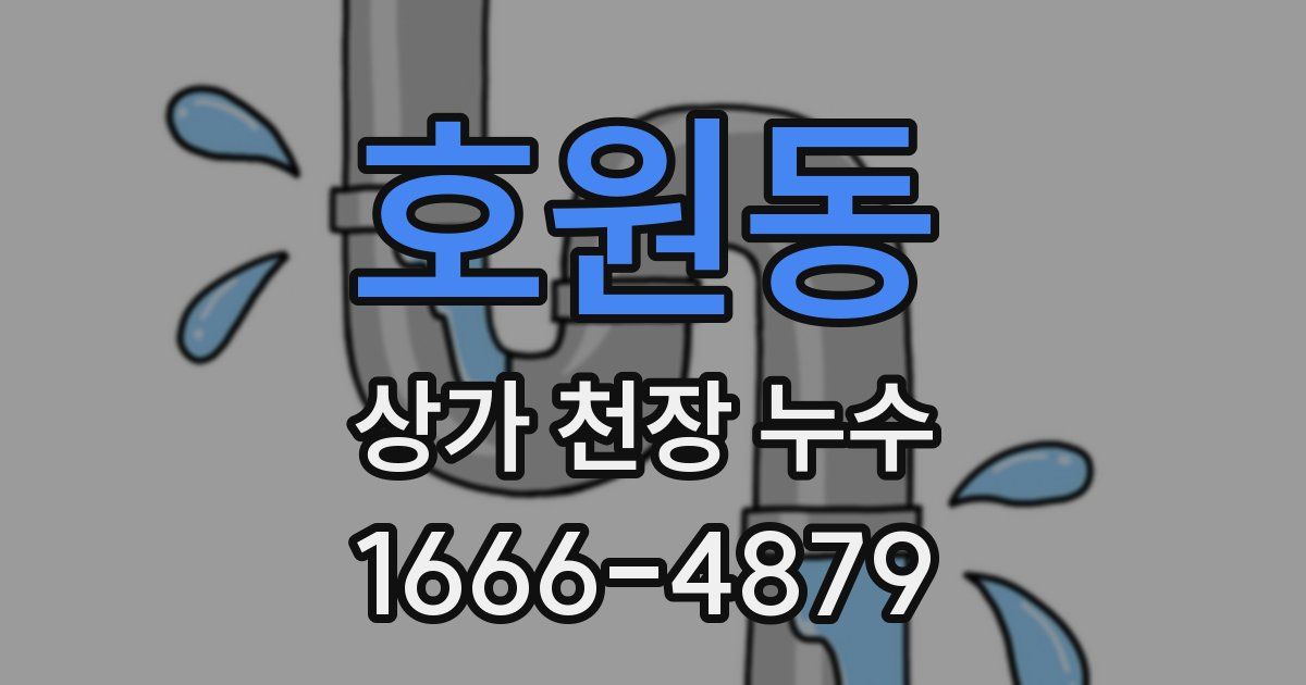 호원동 상가 천장 누수