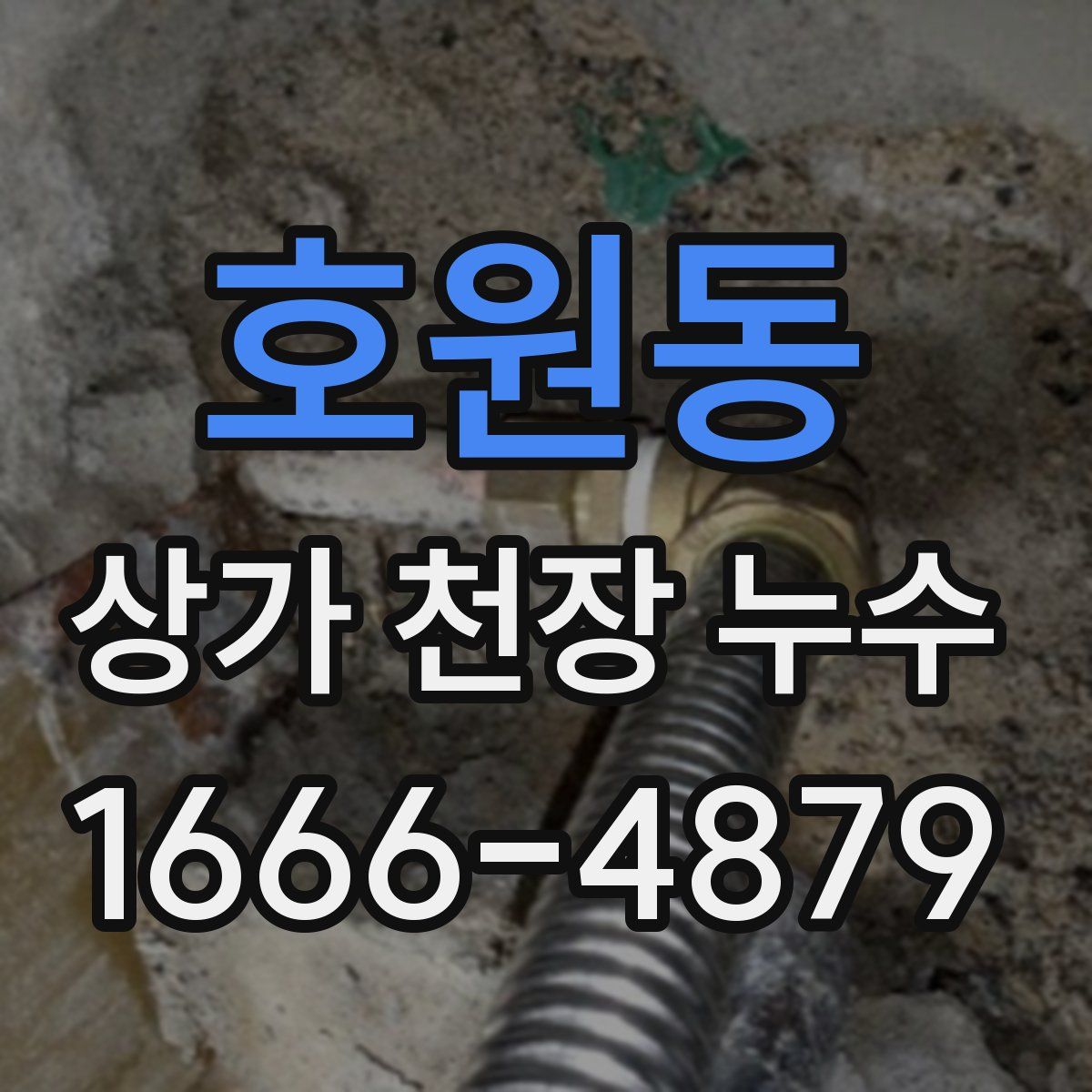호원동 상가 천장 누수