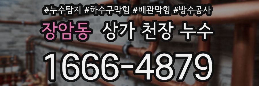 장암동 상가 천장 누수
