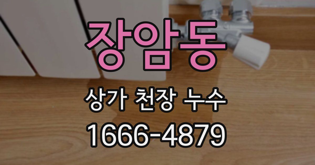 장암동 상가 천장 누수