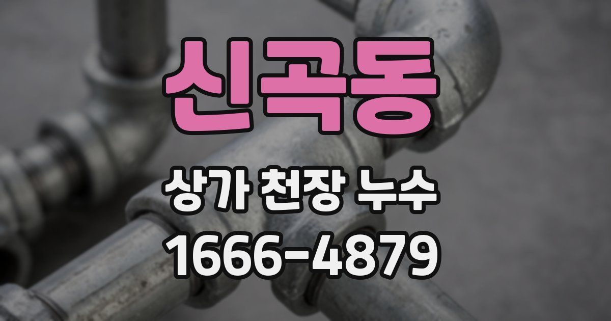 신곡동 상가 천장 누수