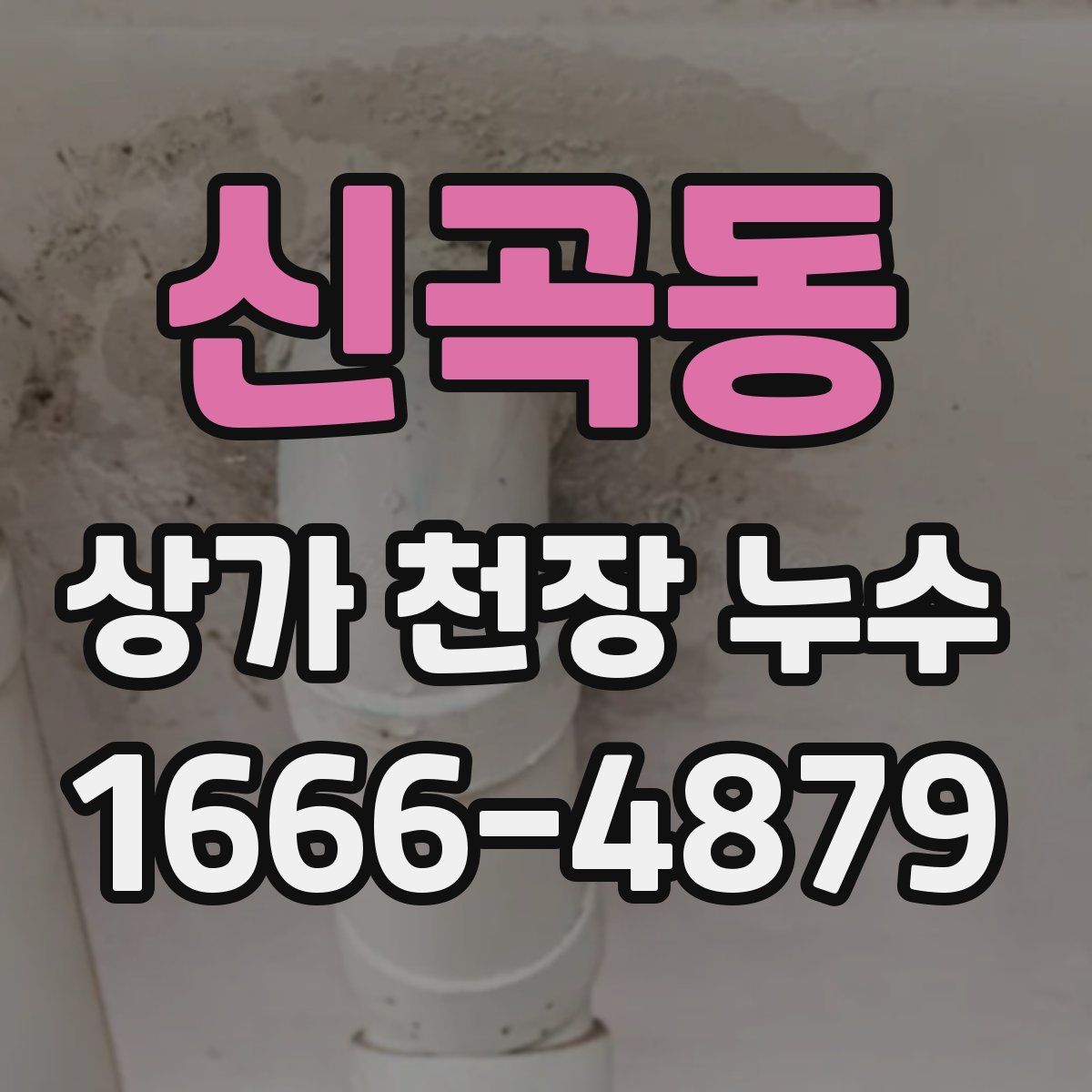 신곡동 상가 천장 누수