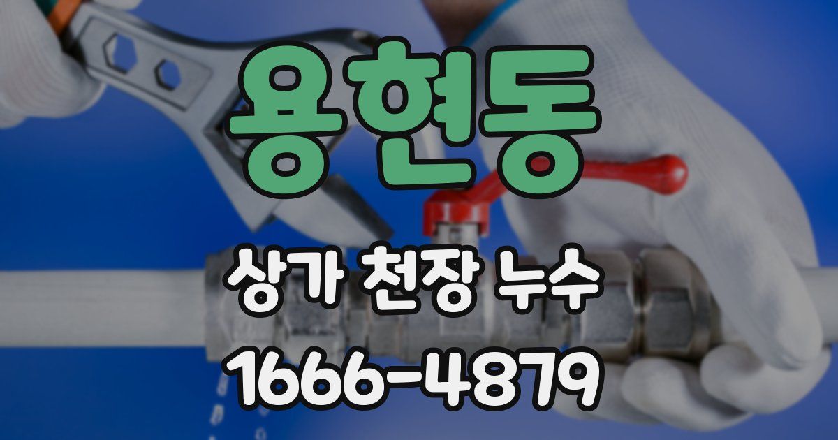 용현동 상가 천장 누수