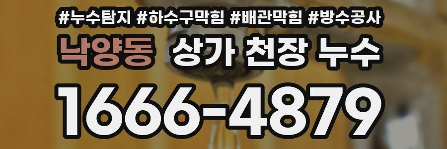 낙양동 상가 천장 누수