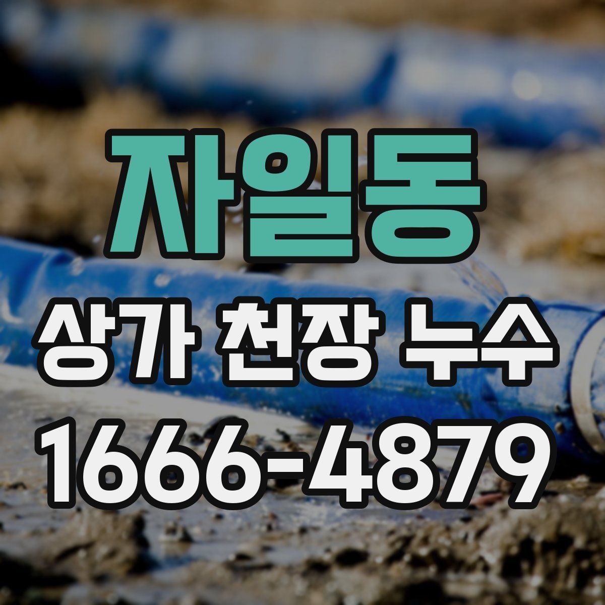 자일동 상가 천장 누수