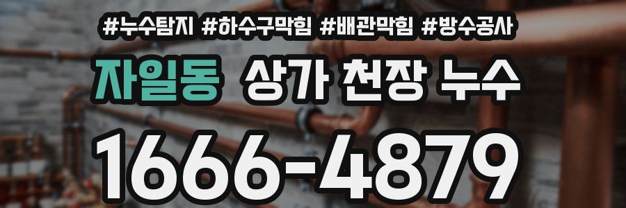 자일동 상가 천장 누수