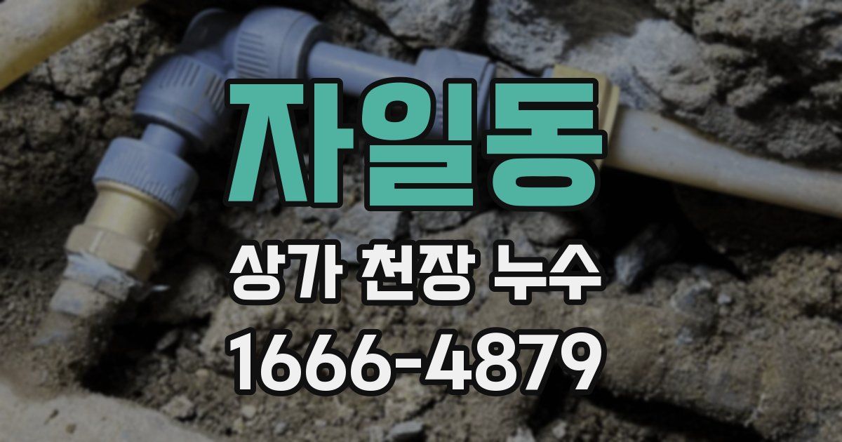 자일동 상가 천장 누수