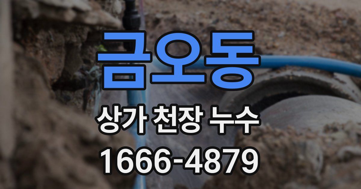 금오동 상가 천장 누수