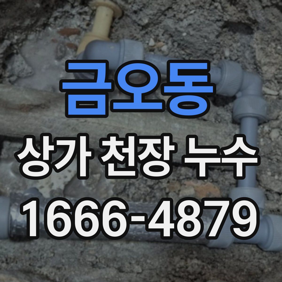 금오동 상가 천장 누수