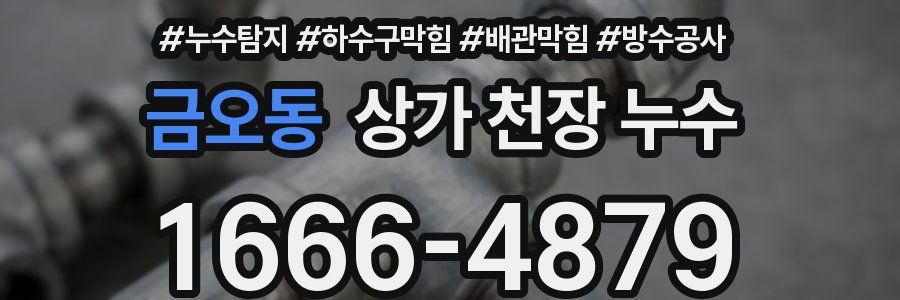 금오동 상가 천장 누수