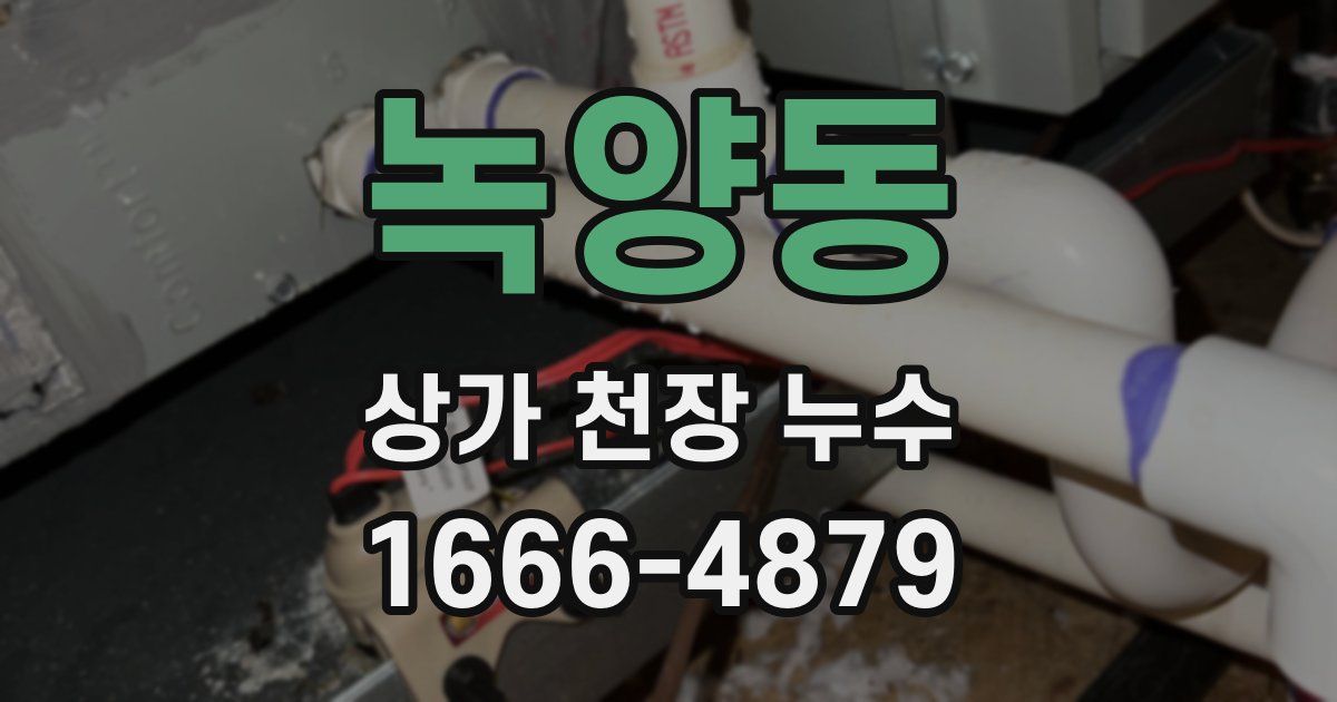 녹양동 상가 천장 누수