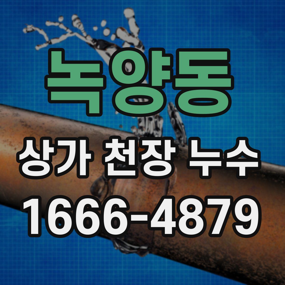녹양동 상가 천장 누수