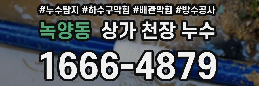 녹양동 상가 천장 누수