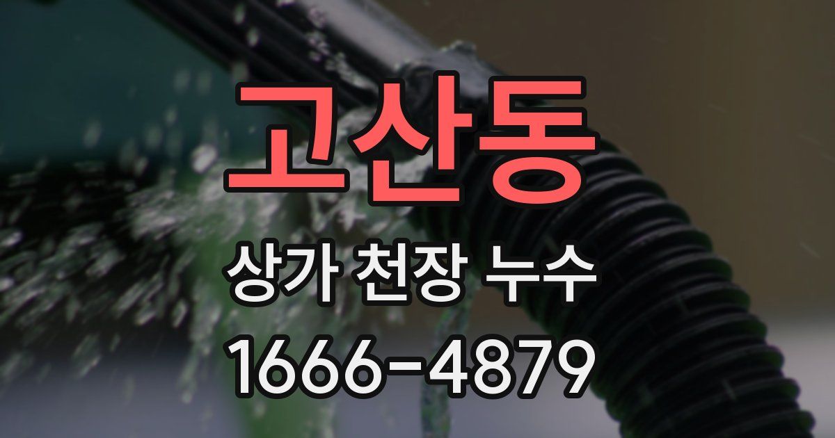 고산동 상가 천장 누수
