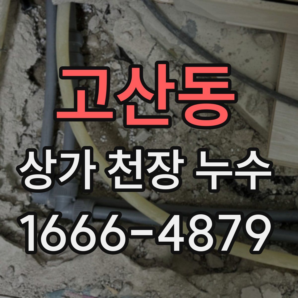 고산동 상가 천장 누수