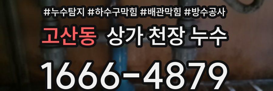 고산동 상가 천장 누수