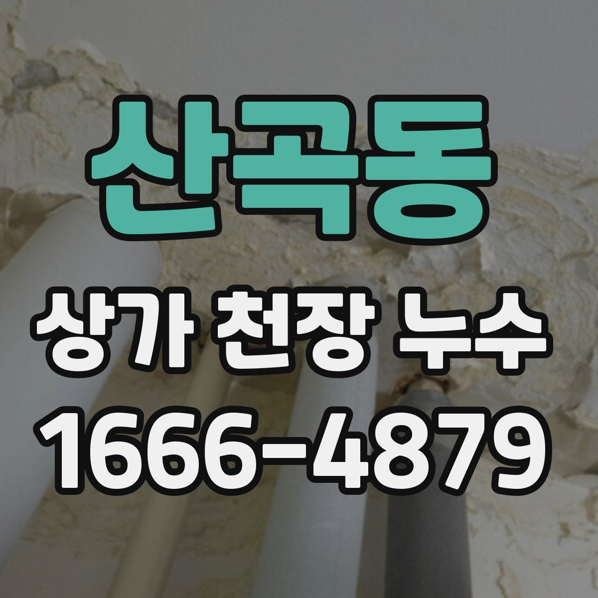 산곡동 상가 천장 누수