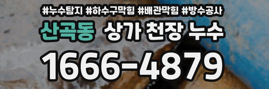 산곡동 상가 천장 누수