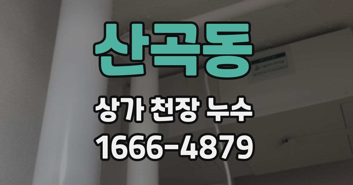 산곡동 상가 천장 누수