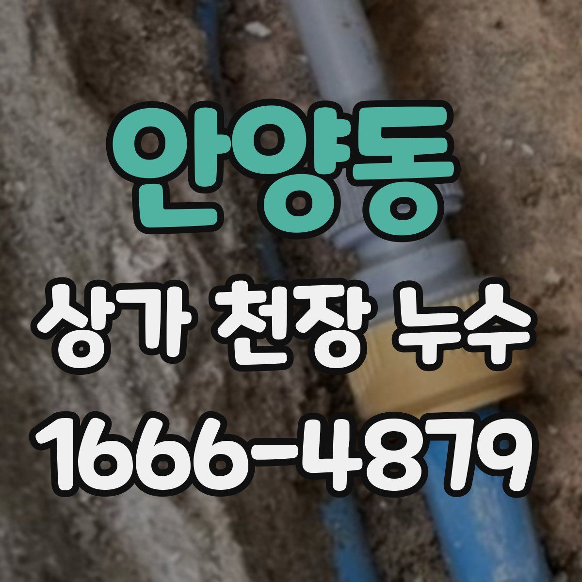 안양동 상가 천장 누수