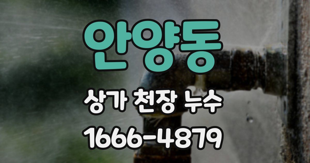 안양동 상가 천장 누수