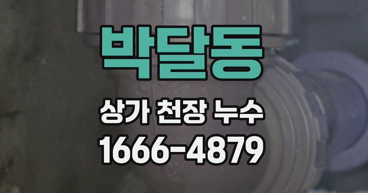박달동 상가 천장 누수
