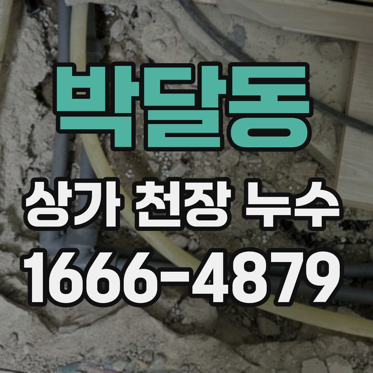 박달동 상가 천장 누수