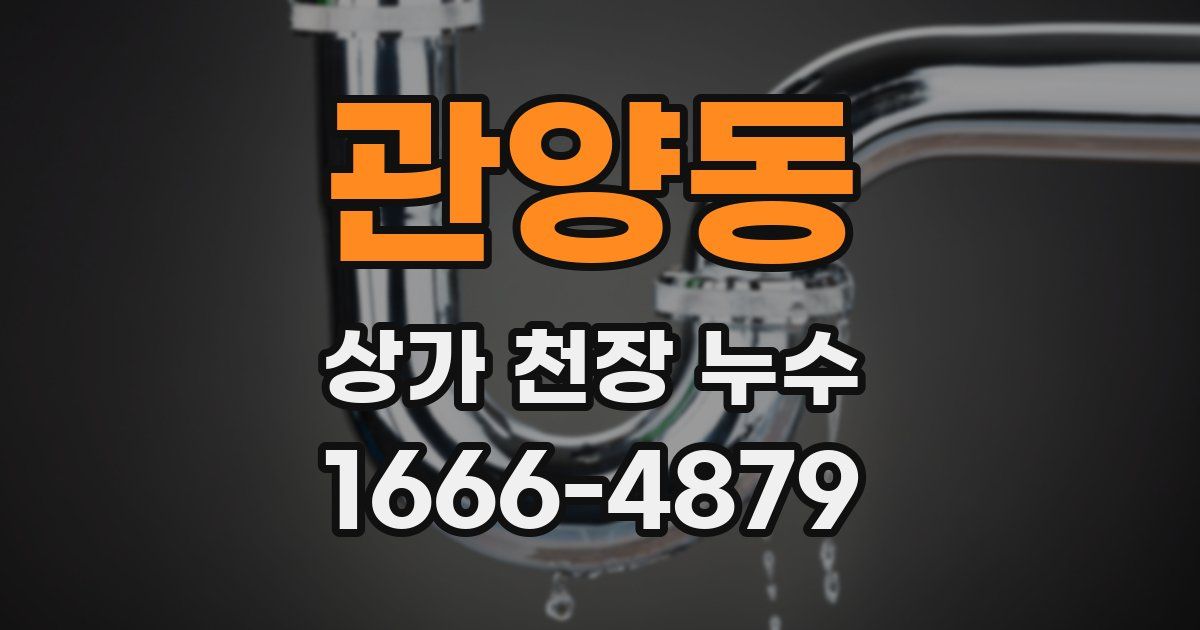 관양동 상가 천장 누수